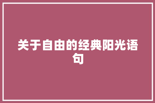 焕新厨房，品质生活新起点_国家厨房改造政策解读及实施建议 墙体维修