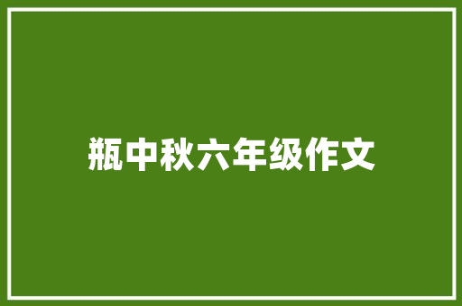 焕新厨房，尽享烹饪艺术_大厨房改造贴纸引领家居时尚新潮流