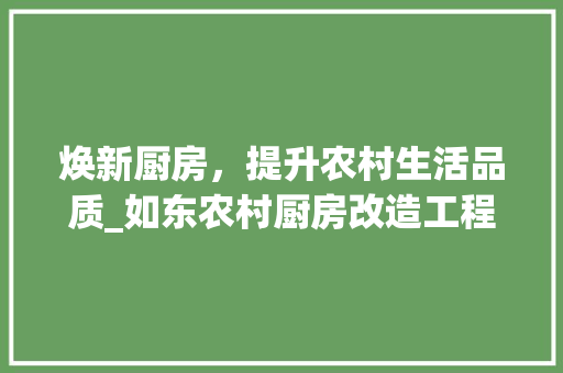 焕新厨房，提升农村生活品质_如东农村厨房改造工程探析 家电维修