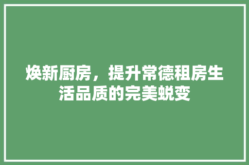 焕新厨房，提升常德租房生活品质的完美蜕变