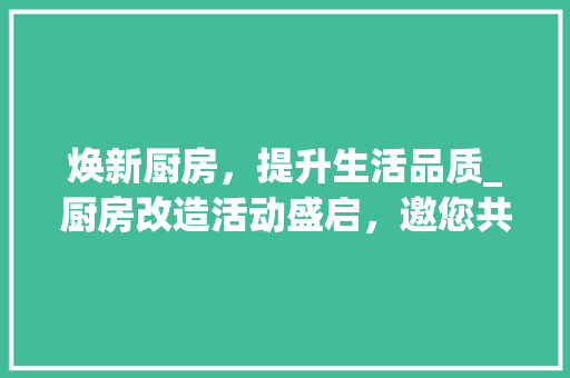 焕新厨房，提升生活品质_厨房改造活动盛启，邀您共享美好烹饪时光 户内维修