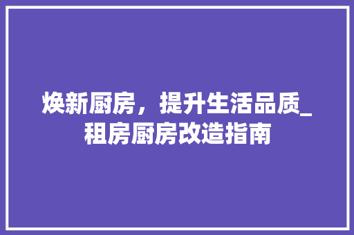 焕新厨房，提升生活品质_租房厨房改造指南
