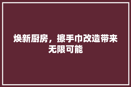 焕新厨房，擦手巾改造带来无限可能