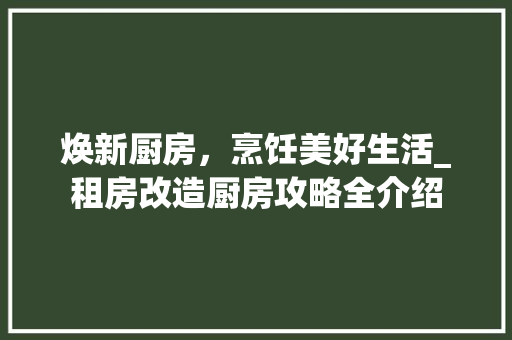 焕新厨房，烹饪美好生活_租房改造厨房攻略全介绍