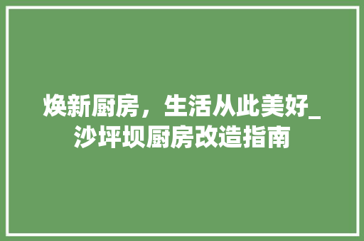 焕新厨房，生活从此美好_沙坪坝厨房改造指南