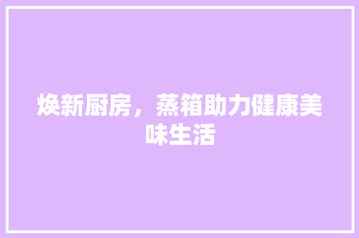 焕新厨房，蒸箱助力健康美味生活