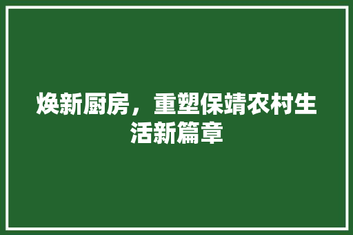 焕新厨房，重塑保靖农村生活新篇章