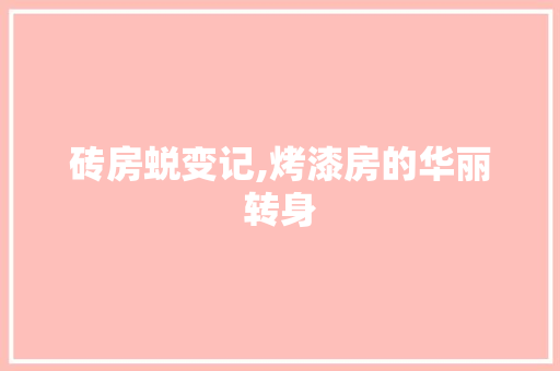 砖房蜕变记,烤漆房的华丽转身 墙体维修