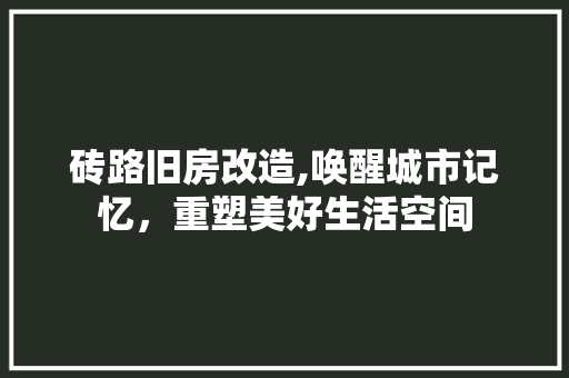 砖路旧房改造,唤醒城市记忆，重塑美好生活空间 墙体维修