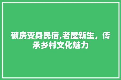 破房变身民宿,老屋新生，传承乡村文化魅力 厨房维修