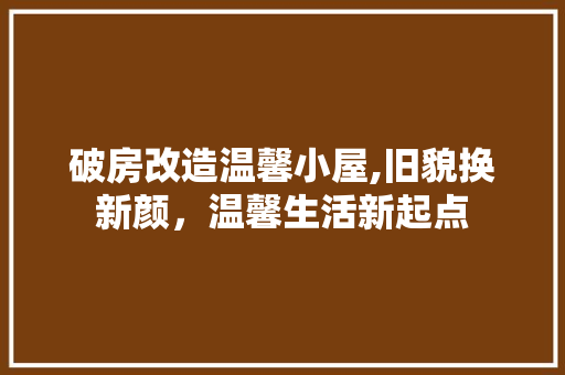 破房改造温馨小屋,旧貌换新颜，温馨生活新起点 家电维修