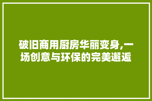破旧商用厨房华丽变身,一场创意与环保的完美邂逅