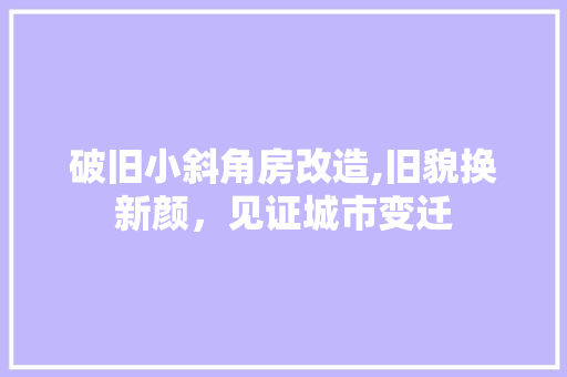 破旧小斜角房改造,旧貌换新颜，见证城市变迁