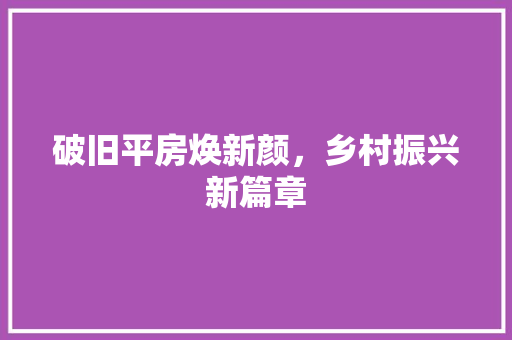 破旧平房焕新颜，乡村振兴新篇章