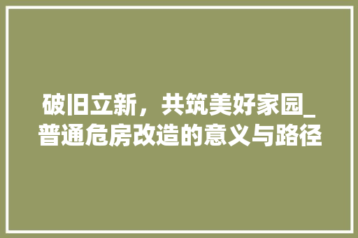 破旧立新，共筑美好家园_普通危房改造的意义与路径探析