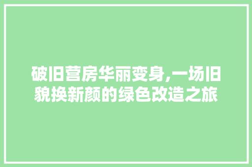 破旧营房华丽变身,一场旧貌换新颜的绿色改造之旅 墙体维修