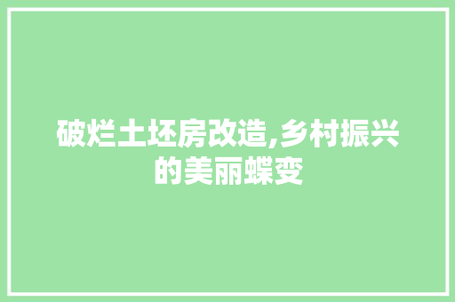破烂土坯房改造,乡村振兴的美丽蝶变