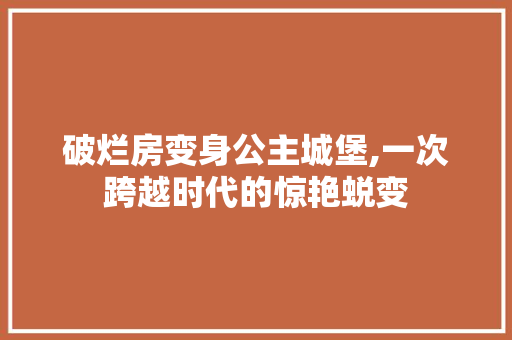 破烂房变身公主城堡,一次跨越时代的惊艳蜕变 墙体维修