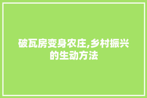 破瓦房变身农庄,乡村振兴的生动方法 墙体维修