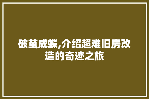 破茧成蝶,介绍超难旧房改造的奇迹之旅