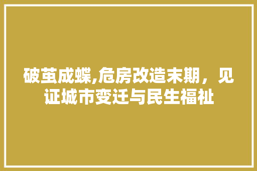 破茧成蝶,危房改造末期，见证城市变迁与民生福祉