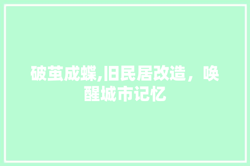 破茧成蝶,旧民居改造，唤醒城市记忆