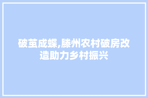 破茧成蝶,滕州农村破房改造助力乡村振兴