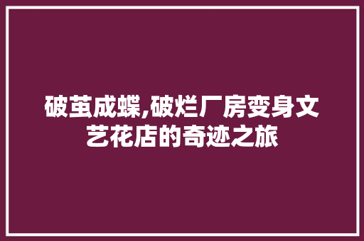 破茧成蝶,破烂厂房变身文艺花店的奇迹之旅 墙体维修