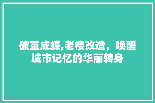 破茧成蝶,老楼改造，唤醒城市记忆的华丽转身