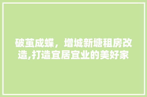 破茧成蝶，增城新塘租房改造,打造宜居宜业的美好家园