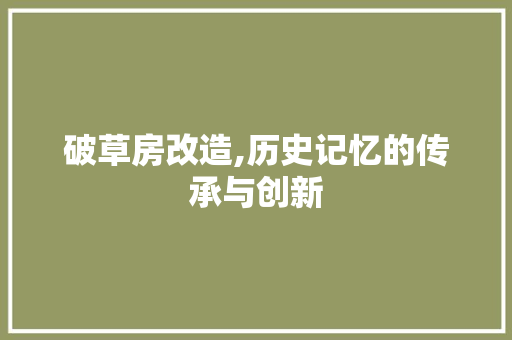 破草房改造,历史记忆的传承与创新