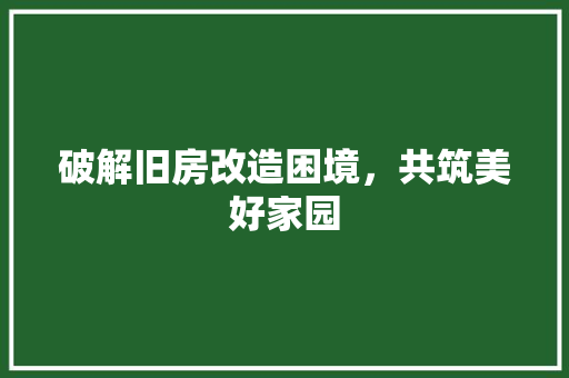 破解旧房改造困境，共筑美好家园