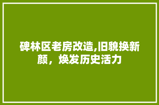 碑林区老房改造,旧貌换新颜，焕发历史活力