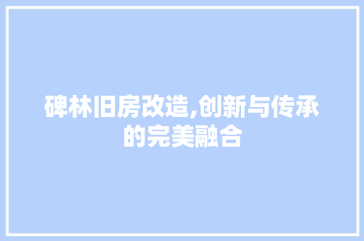 碑林旧房改造,创新与传承的完美融合
