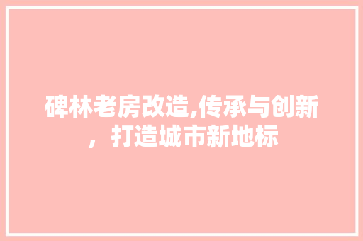 碑林老房改造,传承与创新，打造城市新地标