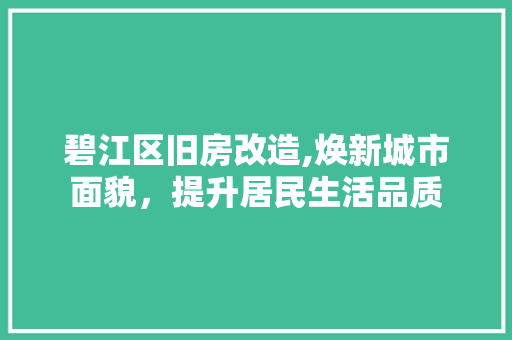 碧江区旧房改造,焕新城市面貌，提升居民生活品质