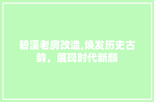 碧溪老房改造,焕发历史古韵，展现时代新颜