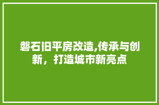 磐石旧平房改造,传承与创新，打造城市新亮点