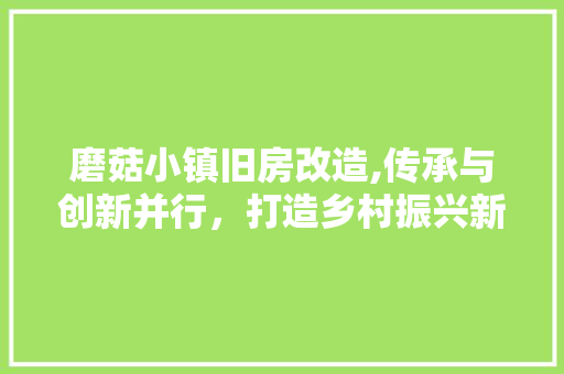 磨菇小镇旧房改造,传承与创新并行，打造乡村振兴新样本