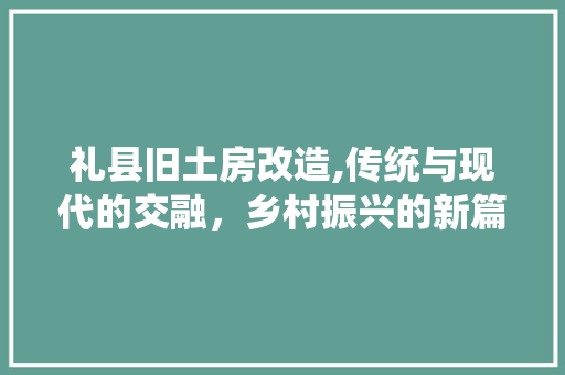 礼县旧土房改造,传统与现代的交融，乡村振兴的新篇章