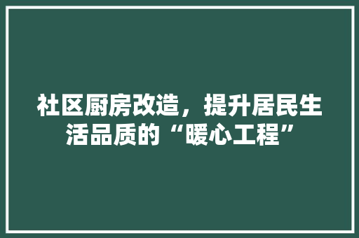 社区厨房改造，提升居民生活品质的“暖心工程”