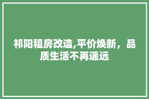祁阳租房改造,平价焕新，品质生活不再遥远