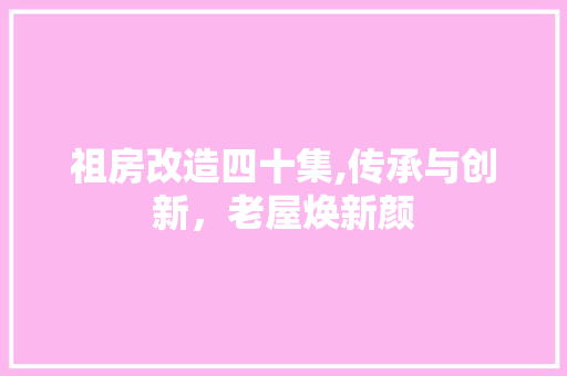 祖房改造四十集,传承与创新，老屋焕新颜