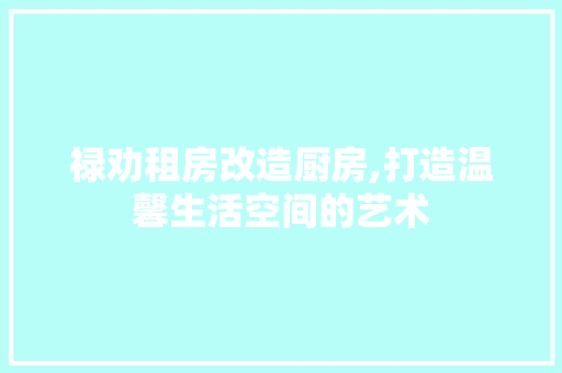 禄劝租房改造厨房,打造温馨生活空间的艺术