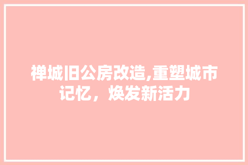 禅城旧公房改造,重塑城市记忆，焕发新活力 居家维修