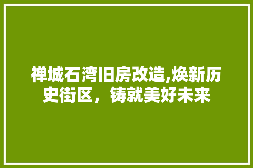 禅城石湾旧房改造,焕新历史街区，铸就美好未来
