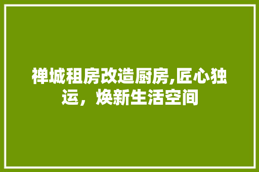禅城租房改造厨房,匠心独运，焕新生活空间