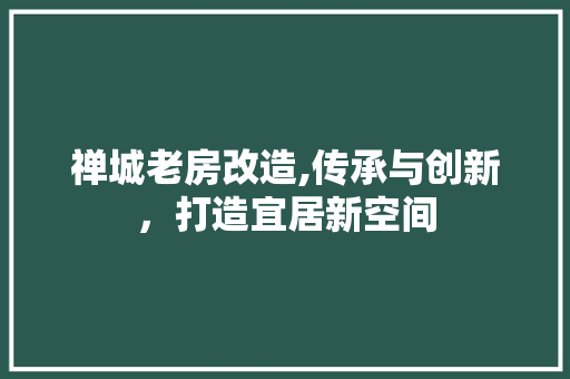 禅城老房改造,传承与创新，打造宜居新空间