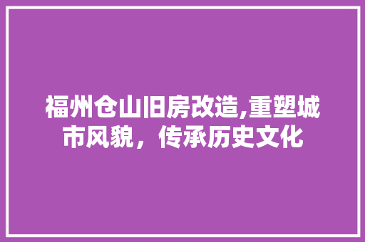 福州仓山旧房改造,重塑城市风貌，传承历史文化