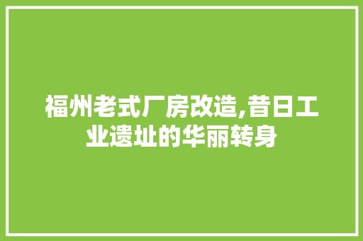 福州老式厂房改造,昔日工业遗址的华丽转身